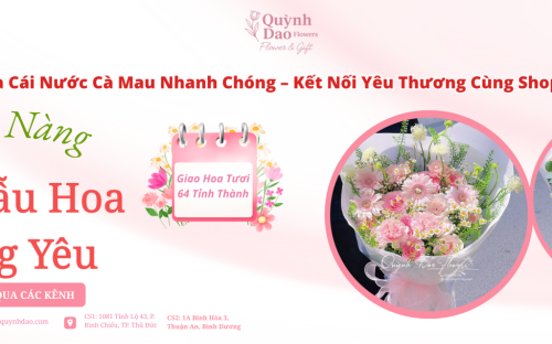 Giao Hoa Cái Nước Cà Mau Nhanh Chóng – Kết Nối Yêu Thương Cùng Shop Hoa Quỳnh Dao