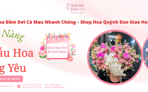 Giao Hoa Đầm Dơi Cà Mau Nhanh Chóng – Shop Hoa Quỳnh Dao Đồng Hành Cùng Mọi Khoảnh Khắc Ý Nghĩa