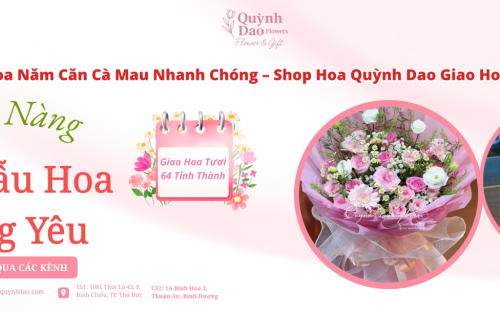 Giao Hoa Năm Căn Cà Mau – Shop Hoa Quỳnh Dao Giao Hoa 64 Tỉnh Thành Nhanh Chóng