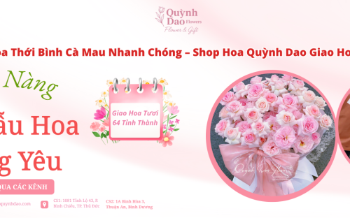 Giao Hoa Thới Bình Cà Mau – Dịch Vụ Điện Hoa Uy Tín Cùng Shop Hoa Quỳnh Dao