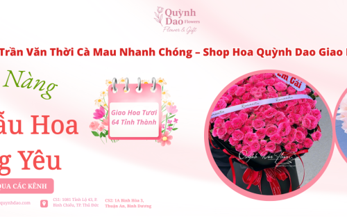Giao Hoa Trần Văn Thời Cà Mau – Dịch Vụ Điện Hoa Uy Tín Cùng Shop Hoa Quỳnh Dao