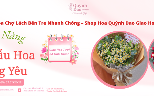 Giao Hoa Chợ Lách Bến Tre – Shop Hoa Quỳnh Dao Giao Hoa 64 Tỉnh Thành