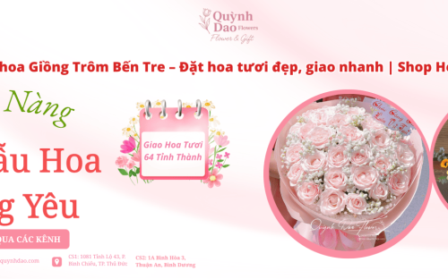 Điện hoa Giồng Trôm – Lựa chọn hoa tươi chất lượng cùng Shop Hoa Quỳnh Dao