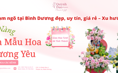 Tráp dạm ngõ tại Bình Dương đẹp, uy tín, giá rẻ – Xu hướng 2026