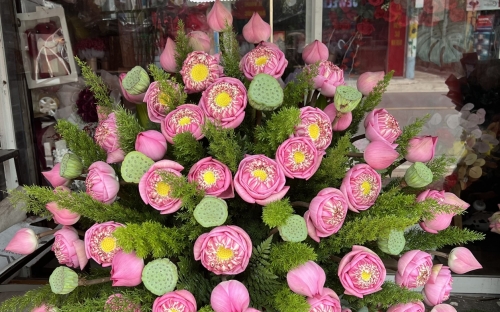 Ý nghĩa hoa sen trong đời sống văn hóa người Việt