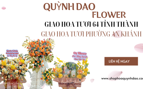  Giao hoa tươi tại phường An Khánh – Gửi trọn cảm xúc cùng Shop Hoa Quỳnh Dao