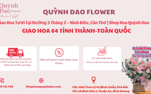 Giao Hoa Tươi Tại Đường 3 Tháng 2 – Ninh Kiều, Cần Thơ | Shop Hoa Quỳnh Dao
