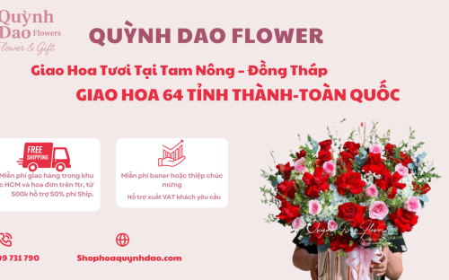 Giao Hoa Tươi Tại Tam Nông – Đồng Tháp | Hoa Đẹp Đúng Mẫu – Giao Nhanh Tận Nơi