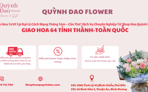 Giao Hoa Tươi Tại Đại Lộ Cách Mạng Tháng Tám – Cần Thơ: Dịch Vụ Chuyên Nghiệp Từ Shop Hoa Quỳnh Dao