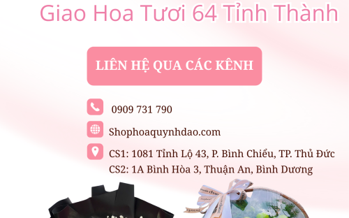 GIAO HOA TƯƠI ĐƯỜNG NGUYỄN HUỆ – SÓC TRĂNG | HOA QUỲNH DAO