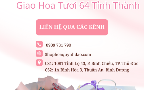 Giao hoa đường Lê Lợi Sóc Trăng | Hoa Quỳnh Dao – Hoa tươi mỗi ngày, giao nhanh toàn quốc