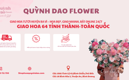 Dịch Vụ Giao Hoa Tươi Ở Huyện Ba Vì – Nhanh, Đẹp, Chuẩn Từng Chi Tiết