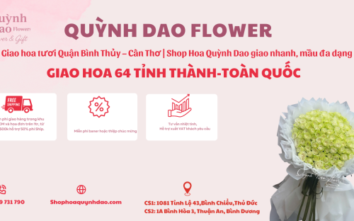 Dịch vụ giao hoa tươi tại Quận Bình Thủy – Cần Thơ | Shop Hoa Quỳnh Dao