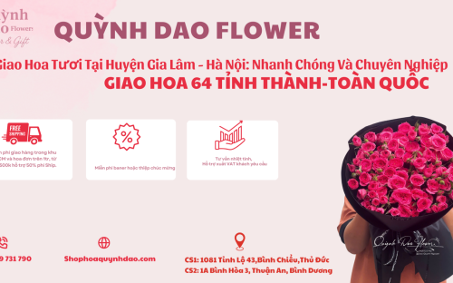 Giao Hoa Tươi Huyện Gia Lâm – Hà Nội | Shop Hoa Quỳnh Dao