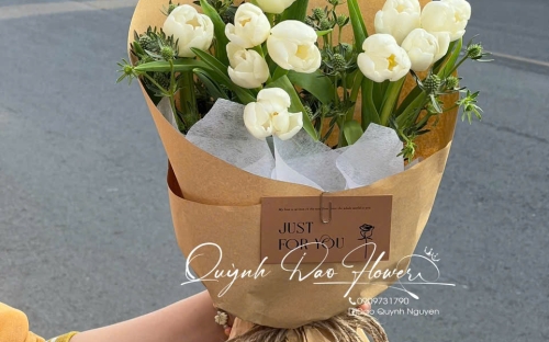 Hoa Tulip – Biểu Tượng Tinh Tế & Kiêu Hãnh