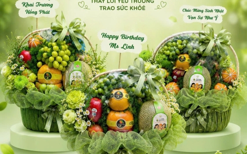 Giỏ Trái Cây Tone Xanh Giá Rẻ Tại Bình Dương Được Yêu Thích 2026