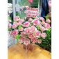Giỏ hoa sáp hồng thủ Đức 