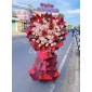 Hoa khai trương vườn lài hcm