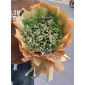 Bó cúc tana to đẹp 