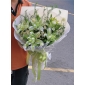Hoa ly kép trắng quận 12