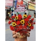 Giỏ hoa hồng đỏ mix hướng dương 