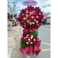 Kệ hoa khai trương tone đỏ quận 12
