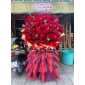 Kệ khai trương đỏ khổng lồ quận 12