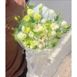 Bó hoa tú cầu mix Thúy châu