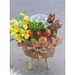 Giỏ trái cây dĩ an Bình dương hcm
