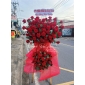 Hoa khai trương gò vấp 