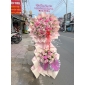 Kệ khai trương cúc mẫu đơn Hồng 