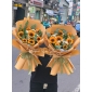Hoa tổng kết dĩ an