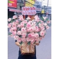Giỏ hoa to quận 12