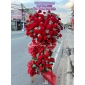 Kệ khai trương màu đỏ quận 12