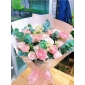 Hoa cẩm chướng Thủ đức