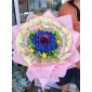 Hoa tiền đủ màu