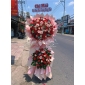 Hoa khai trương thủ dầu 1