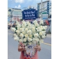 Giỏ hoa hồng trắng  tại Thuận An