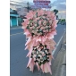 Kệ khai trương màu hồng quận 12