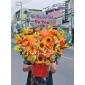 Giỏ hoa hướng dương to thủ Đức 