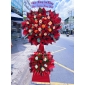 Kệ khai trương vĩnh phú 10
