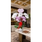 Chậu lan hồ điệp 5 cành