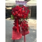 Kệ hoa khai trương đỏ bình dương 
