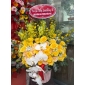 Giỏ hoa vàng mix lan hồ điệp 