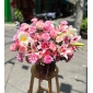Giỏ hoa tulip