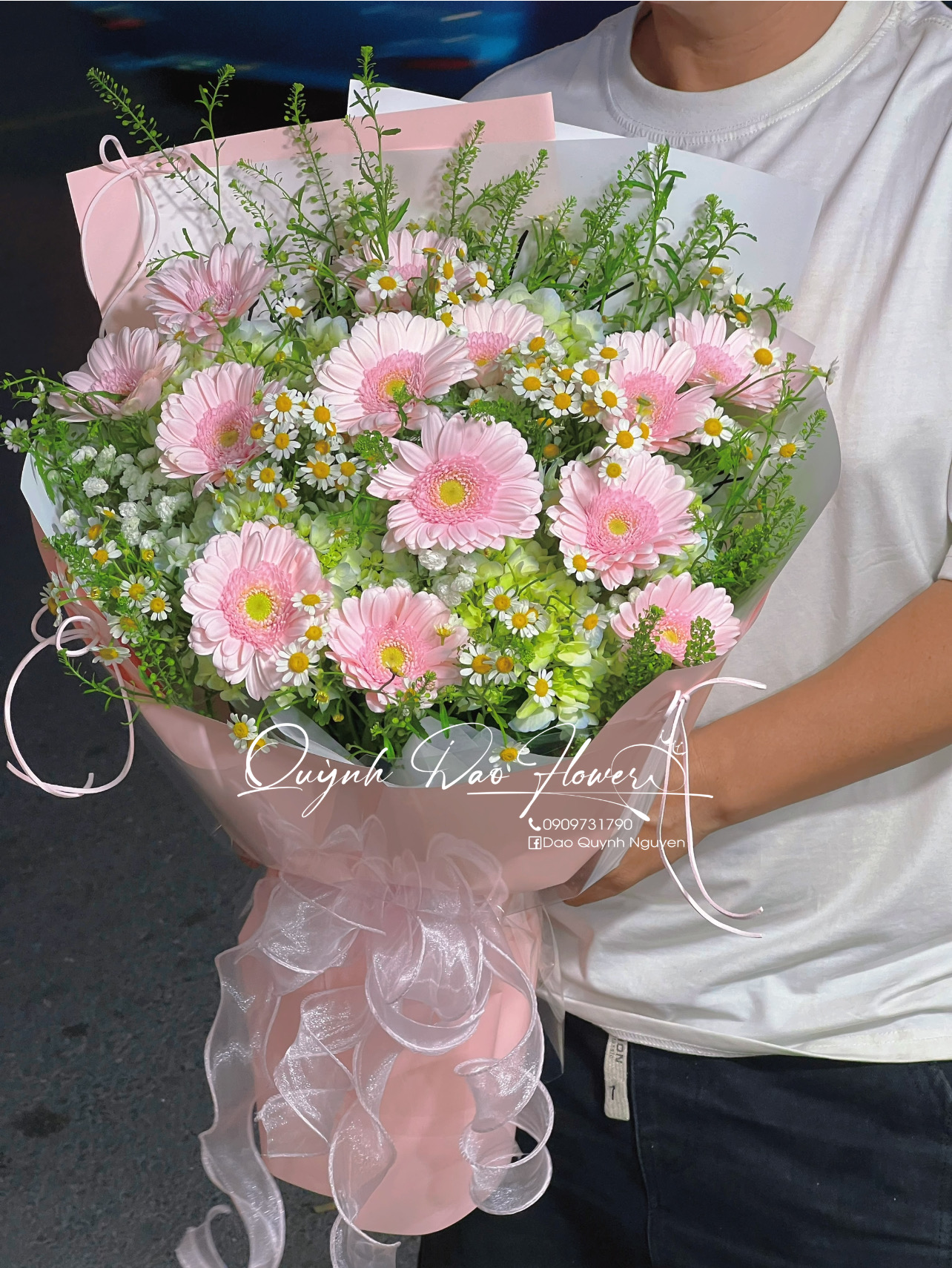 Hoa đồng tiền 8/3