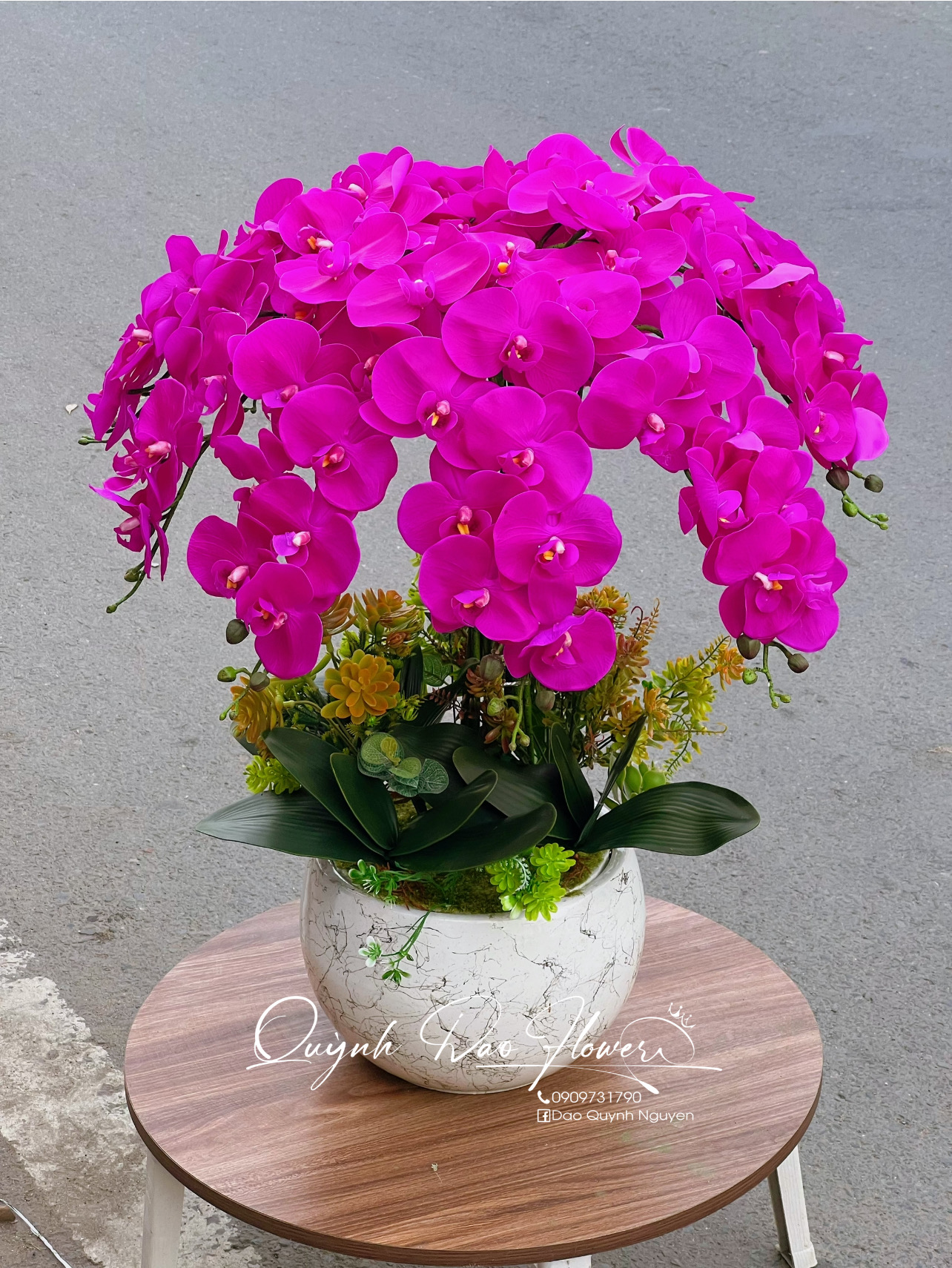 Chậu lan hồ điệp cao su tím 10 nhánh