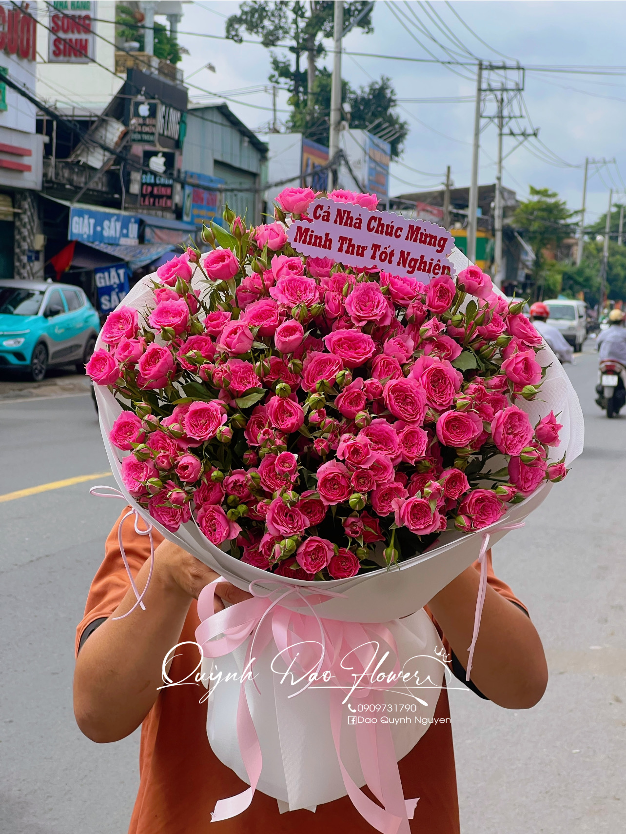 Hoa Hồng sophia kiểu Hàn