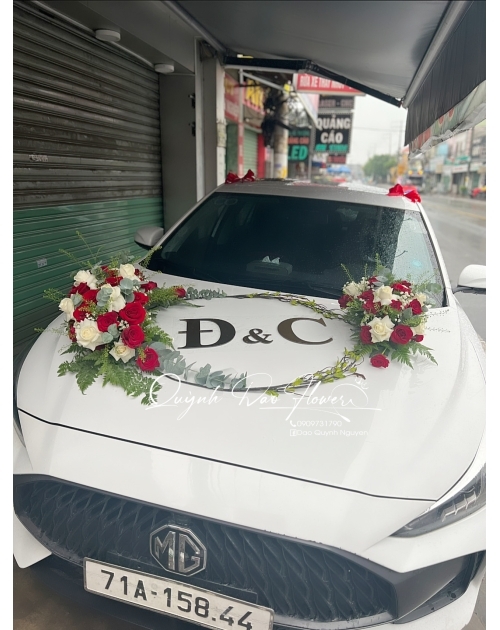 Xe hoa giá rẻ