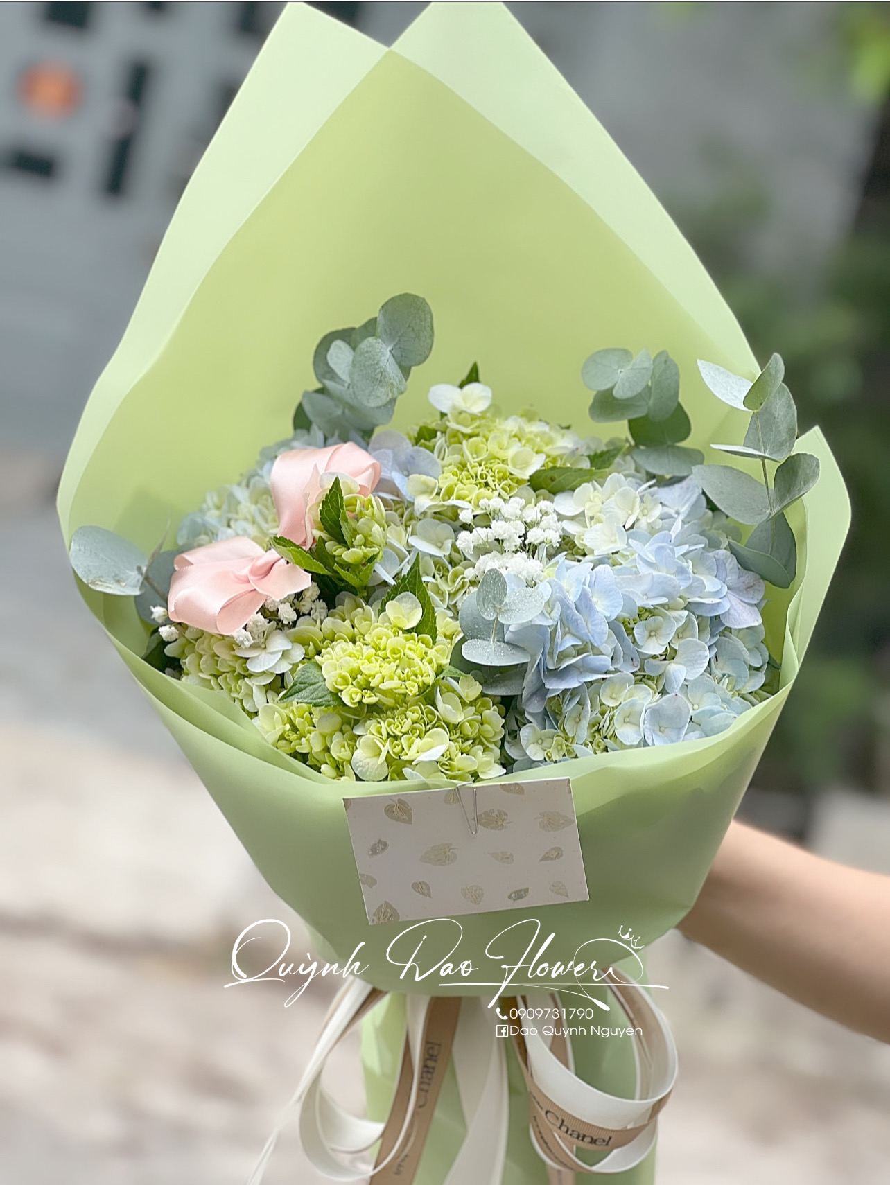 Bó hoa Cẩm Tú cầu tặng người thương 